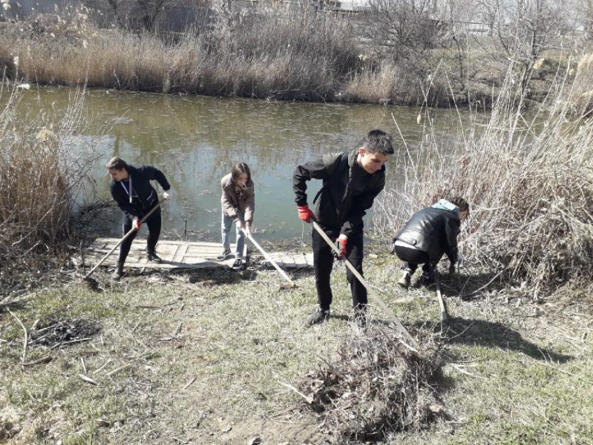 Волонтеры школьной организации «ВИТА» в Морозовске очистили участок берега реки Быстрой от мусора 