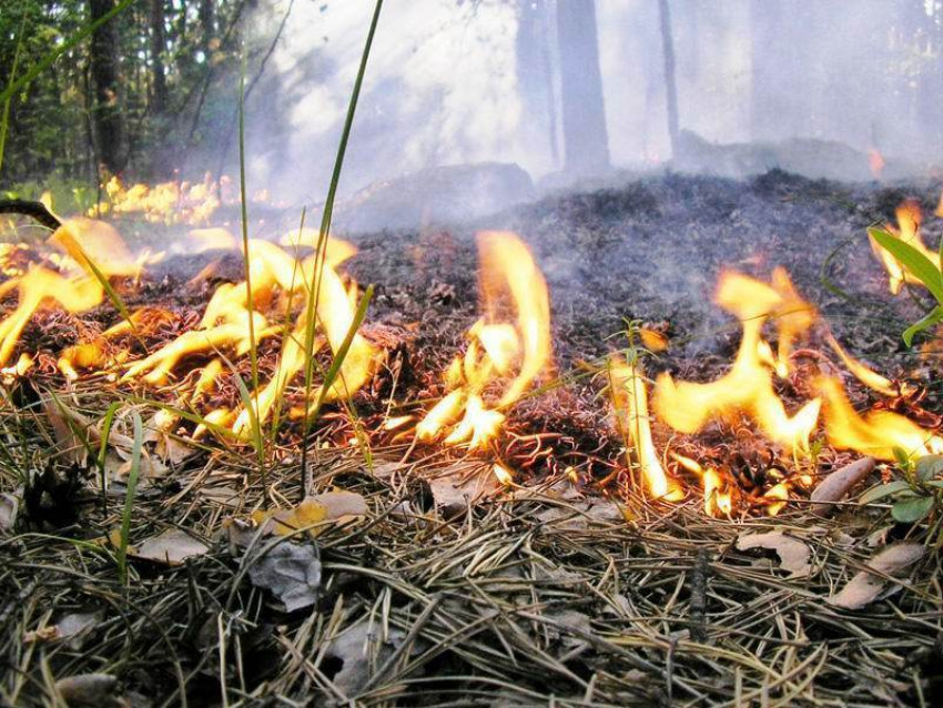 Слишком жаркие выходные грозят Морозовску пожарами 