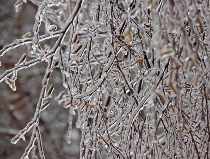 До 2 градусов ниже ноля ожидается в Морозовске днем, 15 декабря