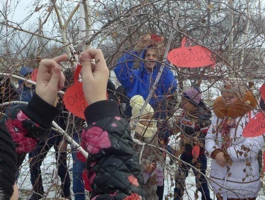 Именами жертв ДТП в Морозовском районе символично украсили дерево возле Дома детского творчества