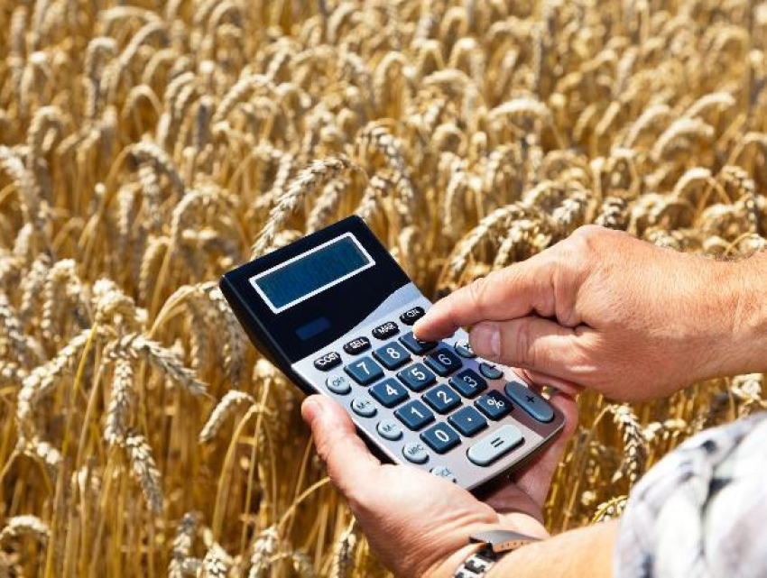 Сельхозпроизводителям Морозовска и всей России предложили новую систему налогообложения