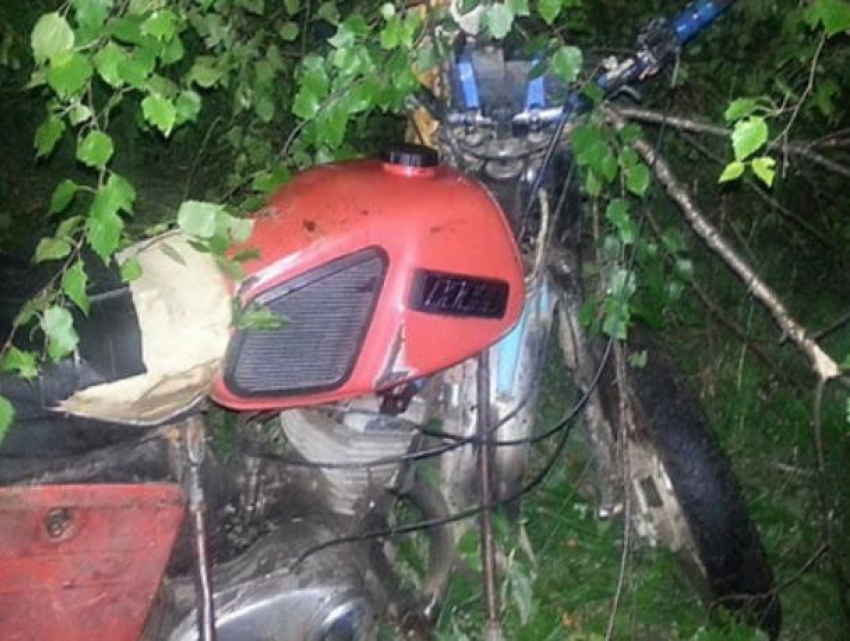 Подросток на мотоцикле врезался в дерево в Морозовском районе