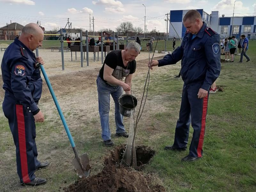 Более 60 саженцев молодых деревьев высадили казаки Морозовского юрта в рамках акции «Сад памяти»