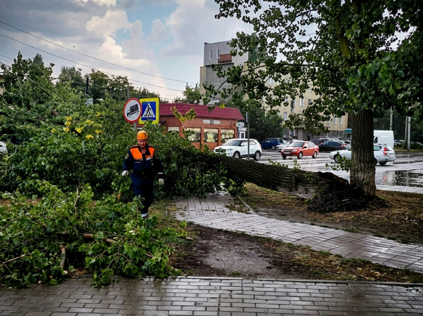 Сильный ветер повалил дерево на улице Подтелкова