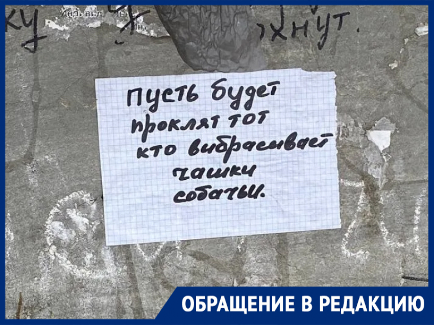 «Собаки становятся агрессивными и кусают детей»: жители Морозовска бьют тревогу из-за стаи на улице Ворошилова