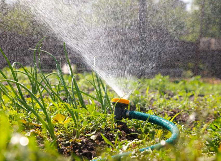 Морозовчан попросили ограничить полив растений водопроводной водой