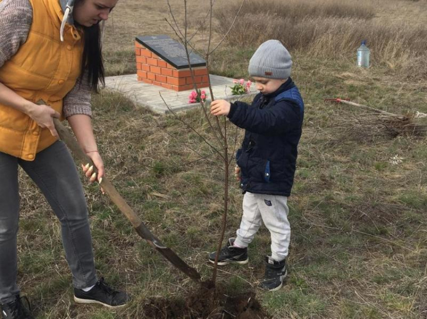 Акция «Дерево памяти» к 75-летию Победы в Великой Отечественной войне прошла в хуторе Грузинов