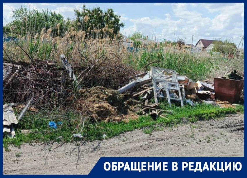 «У свиней в сарае чище!»: местные жители возмущены свалкой на улице Мичурина