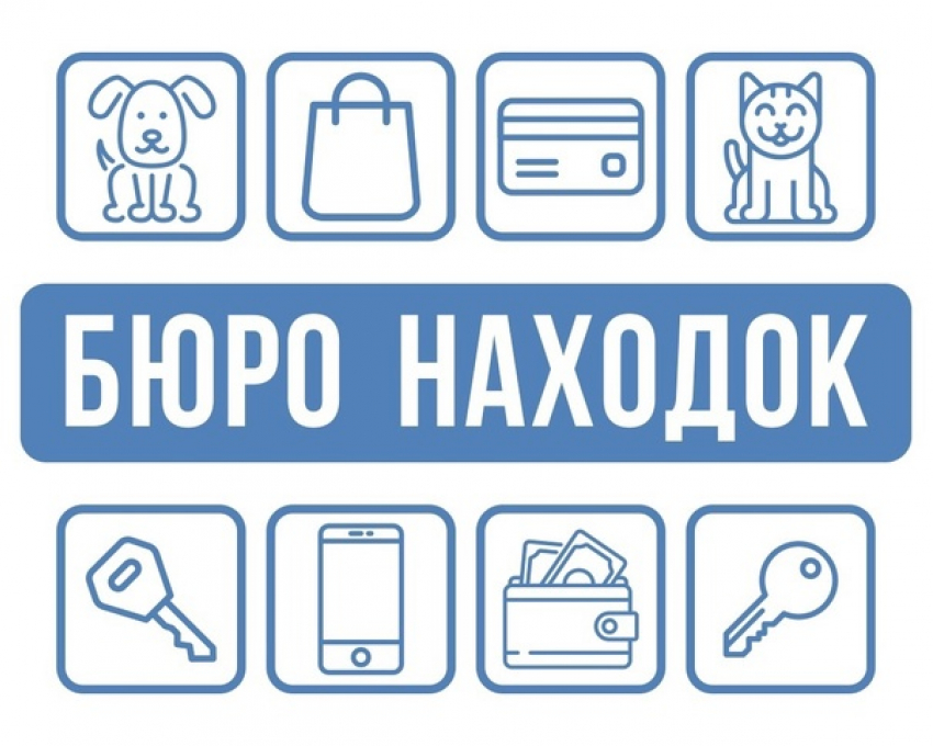 Потеряшки дня: в Морозовске ищут хозяев кота, собаки и банковской карты
