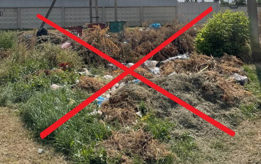 Согласно правилам благоустройства несанкционированное складирование отходов около мусорных контейнеров запрещается, - глава городской администрации