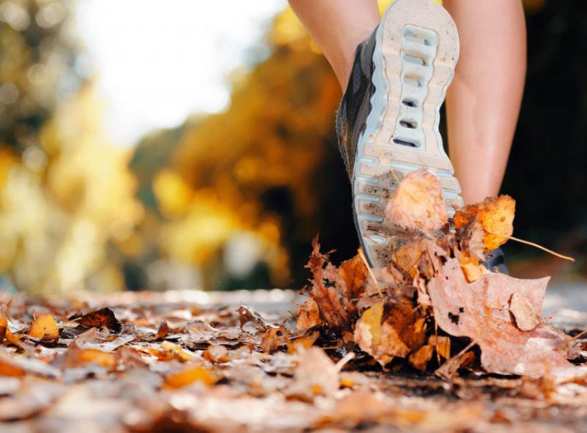 До 18 градусов тепла обещают морозовчанам на выходных