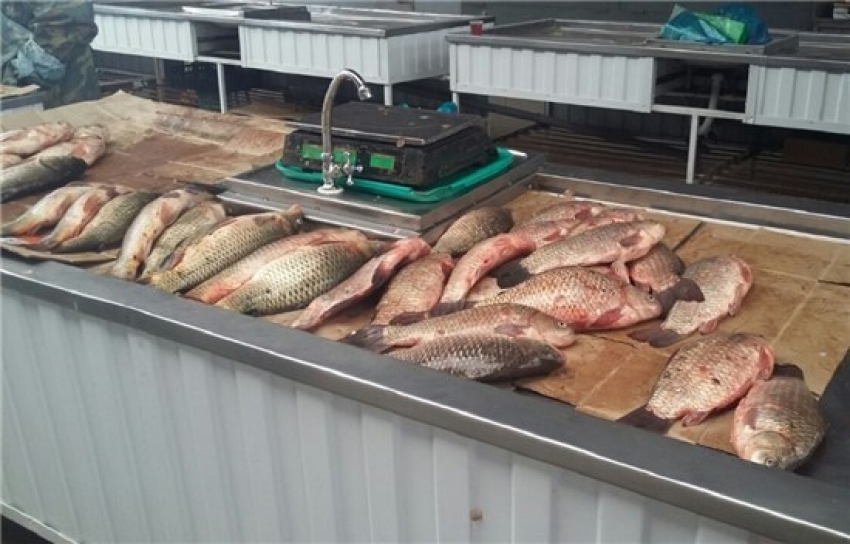 26 с половиной тонн незаконно добытых рыбы и раков «выловили» в рейдах по Ростовской области 