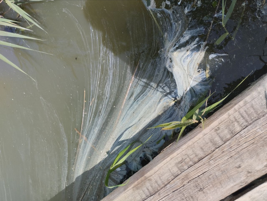 Факт сброса канализационных вод в реку Быстрая в Морозовске подтвердился