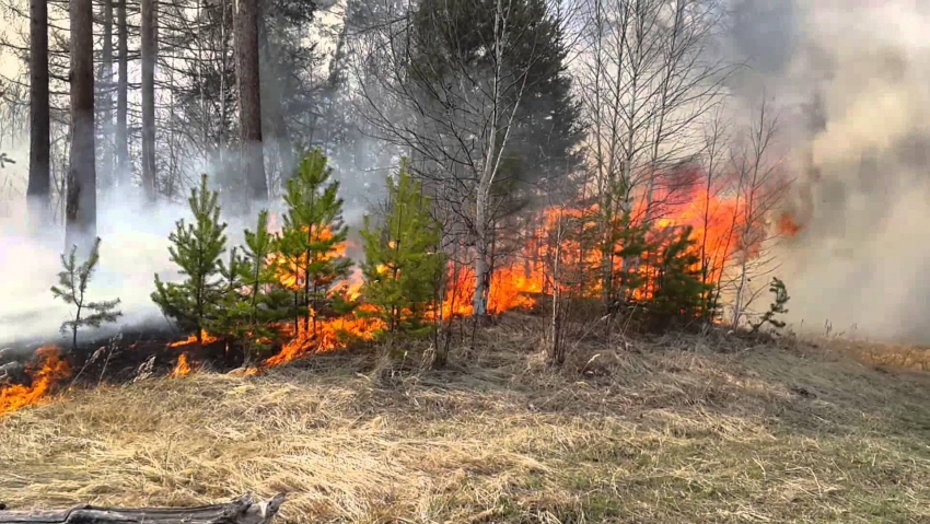 Пожароопасность в Ростовской области снова чрезвычайная