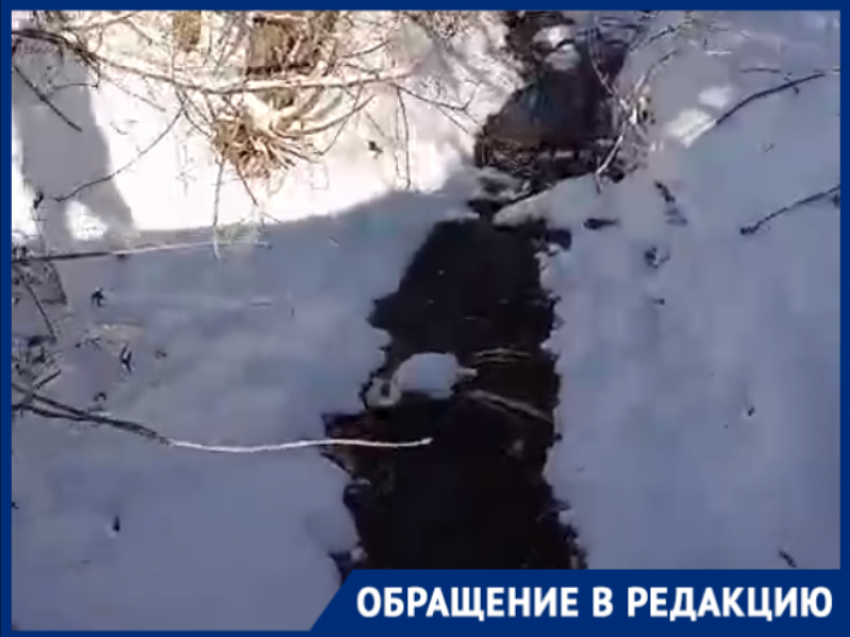 «Была сильная вонь»: незамерзающая канализационная река возмутила жителей Морозовска 