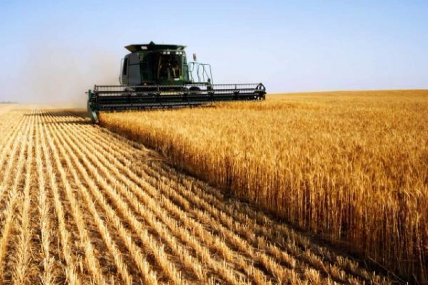 Убытки сельхозпредприятий Ростовской области выросли втрое за год