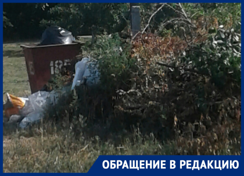 Спиленные деревья в Морозовске лежат с марта рядом в мусорным баком 