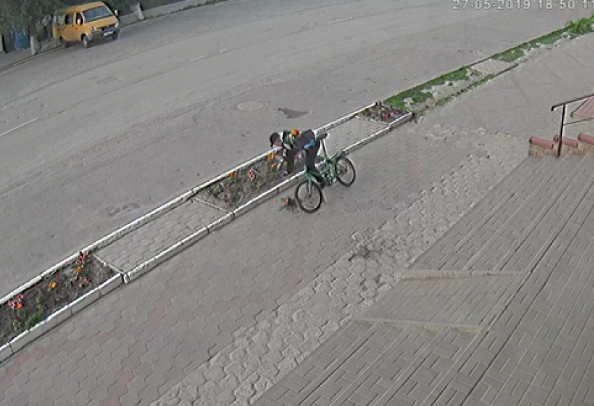 Велосипедист мимоходом украл цветы с двух клумб в Морозовске