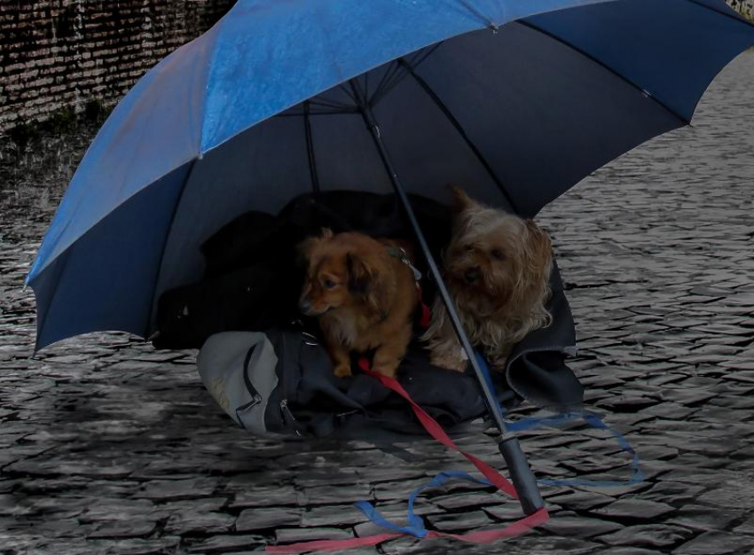 До 8 градусов тепла ожидается в Морозовске 25 февраля