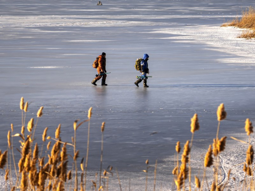 Запретить выход на лед без взрослых: морозовчанам напомнили, как защитить детей в зимний период
