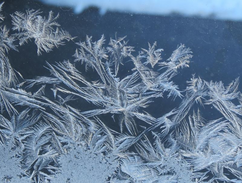 Мороз до -8 градусов обещают синоптики в пятницу, 4 декабря