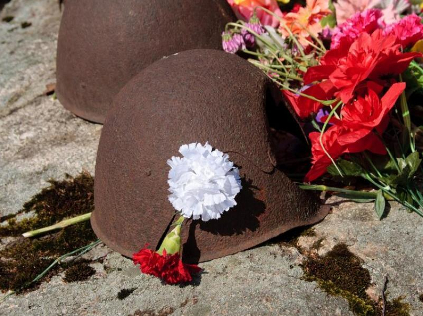 Ищем потомков: на линии Миус-фронта найдены останки уроженца Морозовского района Александра Васильевича Украинского 