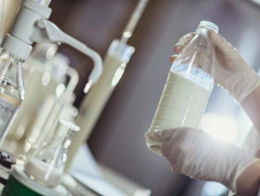Специалисты Роспотребнадзора развеяли миф о тотальной фальсификации молочной продукции 