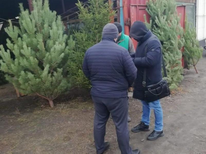 За торговлю в неустановленных местах дончанам грозит штраф от 3 до 80 тысяч рублей