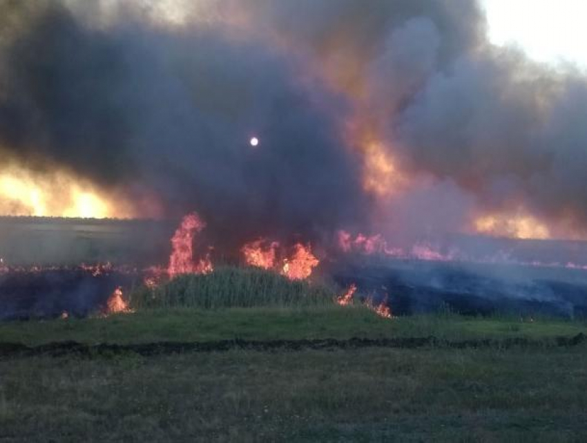 Опасайтесь ландшафтных пожаров:морозовчан предупредили о сохранении чрезвычайной пожароопасности