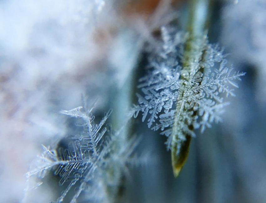 Небольшой снег и до -3 градусов мороза прогнозируют синоптики в субботу, 19 декабря