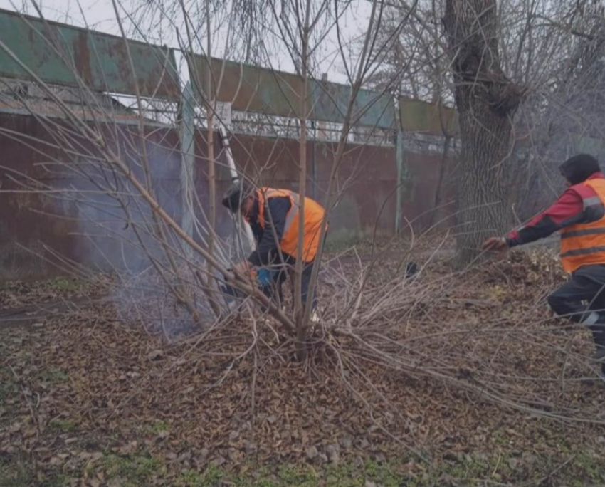 В Морозовске прошлись по сухим веткам, чтобы обезопасить людей и тротуары