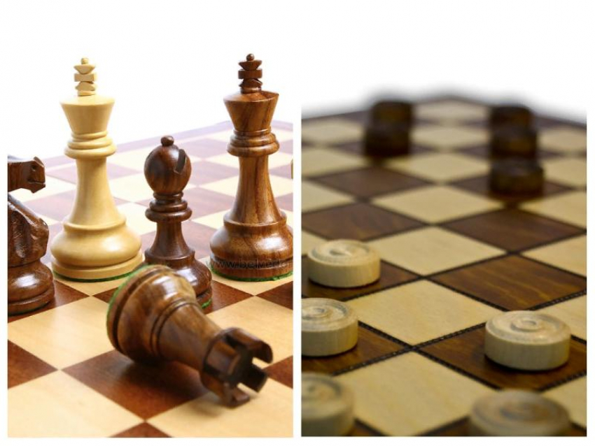 Городские соревнования по шашкам и шахматам пройдут в Морозовске на выходных