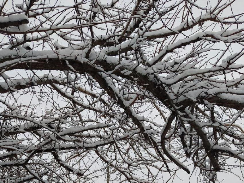 Снежная неделя ожидает морозовчан