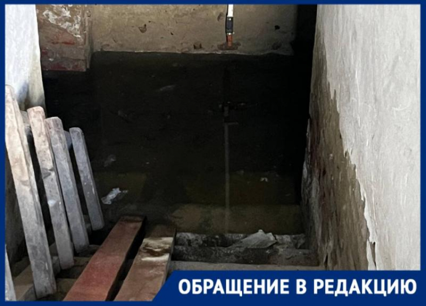 «Опасные насекомые, плесень, вонь и никакой безопасности»: наедине с затопленным подвалом оставили жильцов дома на Ленина 