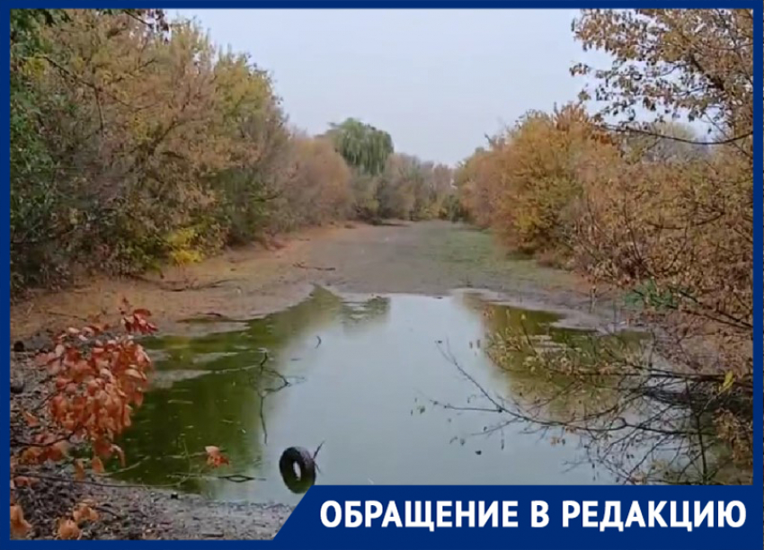 «А в детстве в ней купались»: морозовчане бьют тревогу о состоянии реки Быстрая