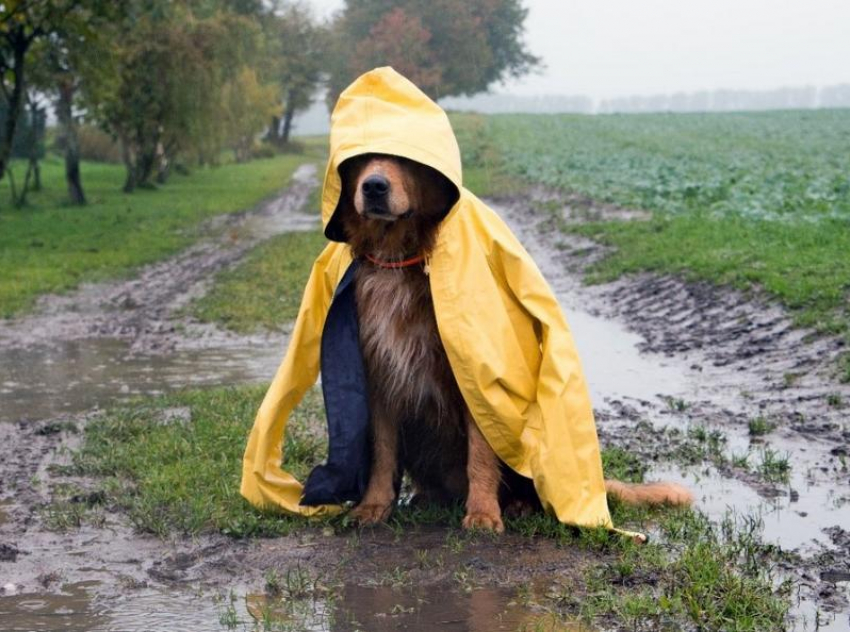 Похолодание до +24 и небольшой дождь обещают синоптики в субботу, 14 августа