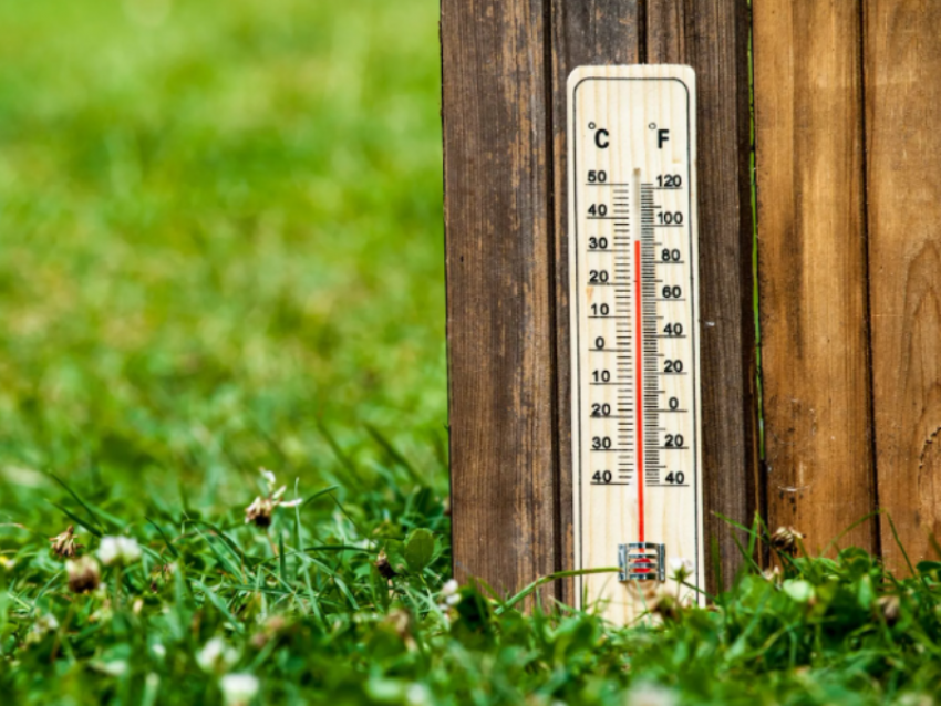  До +31 градуса и без осадков: в середине недели в Морозовске будет жарко