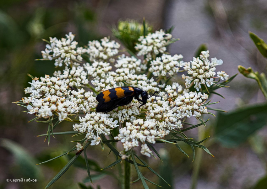 Тепло сменяется дождями: о погоде в воскресенье