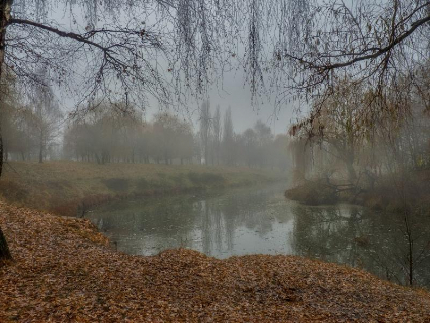 Небольшое похолодание ожидается в Морозовске 4 января