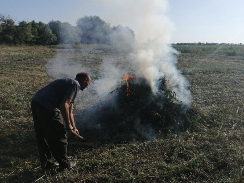 12 тонн дикорастущей конопли скосили и сожгли в Костин-Быстрянском сельском поселении