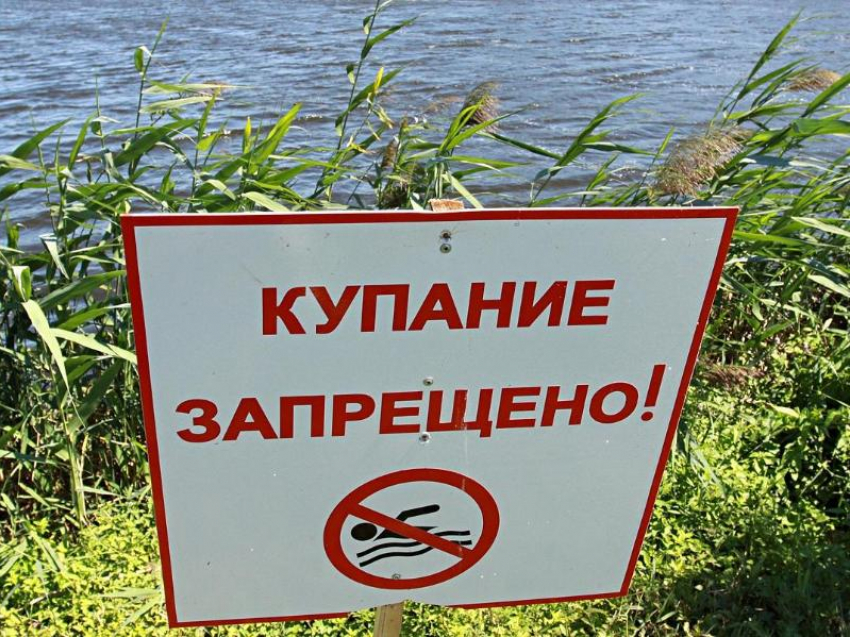 В реке Быстрая купание запрещено! - администрация Морозовского городского поселения