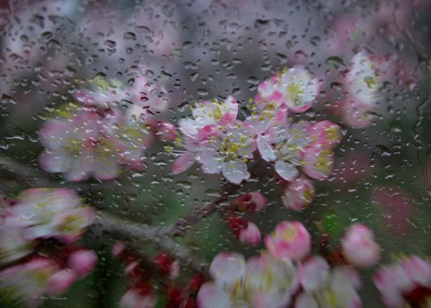 Небольшой дождь ожидается в Морозовске в среду, 12 апреля