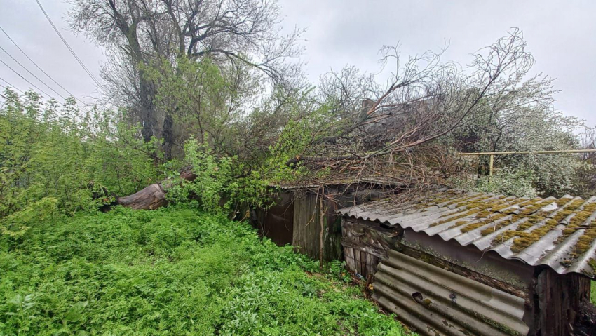 Убирать упавшее на сараи и крышу дерево 86-летней пенсионерке - ребенку войны в Морозовске предложили за свой счет