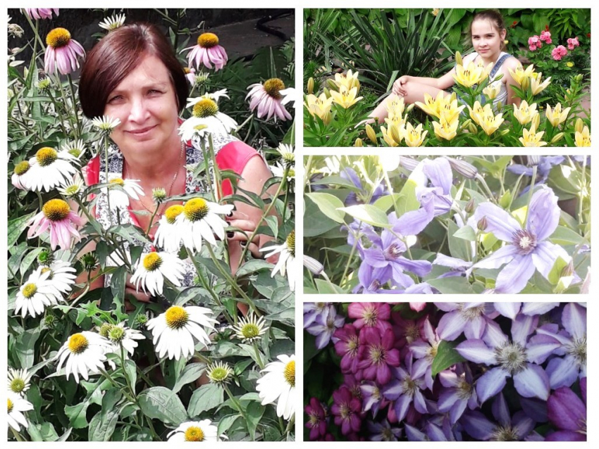 Сказочный сад вырастила в собственном дворе морозовчанка Татьяна Каруна