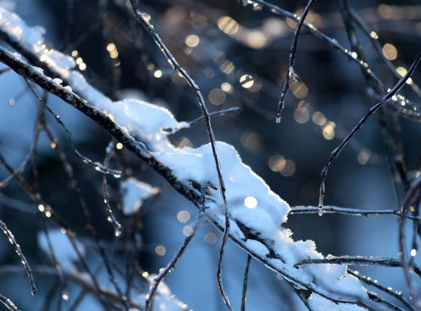 Морозовчан снова предупреждают о перепадах температуры