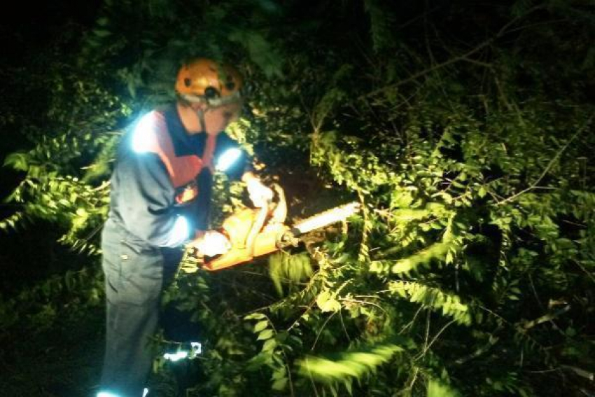 Поваленное порывами ветра дерево заблокировало автодорогу в Морозовском районе