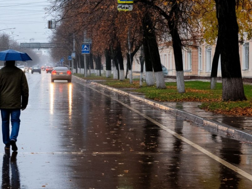 Безопасность в дождливую погоду, или как обезопасить себя на дороге