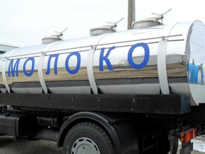 Незаконную перевозку 1500 литров молока пресекли ветинспекторы в Морозовском районе