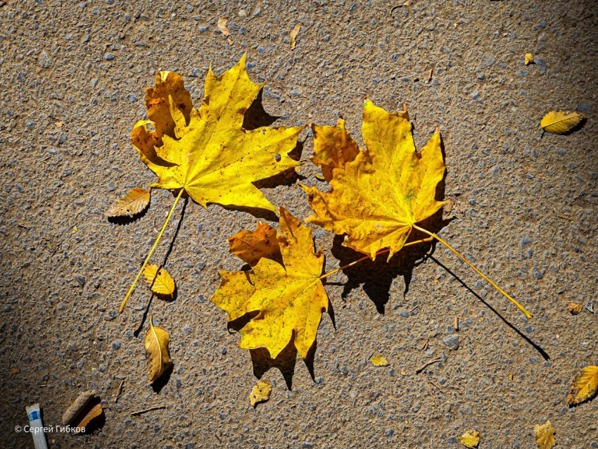 Последние теплые дни в Морозовске