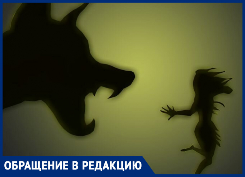 "Боимся даже через дорогу мусор вынести", - жительница улицы Ворошилова предупредила морозовчан об агрессивной соседской собаке